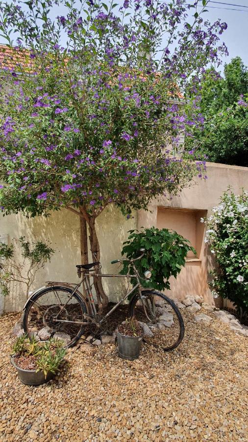 Gites "Tout Au Sud De La France" Pomerols Exterior photo